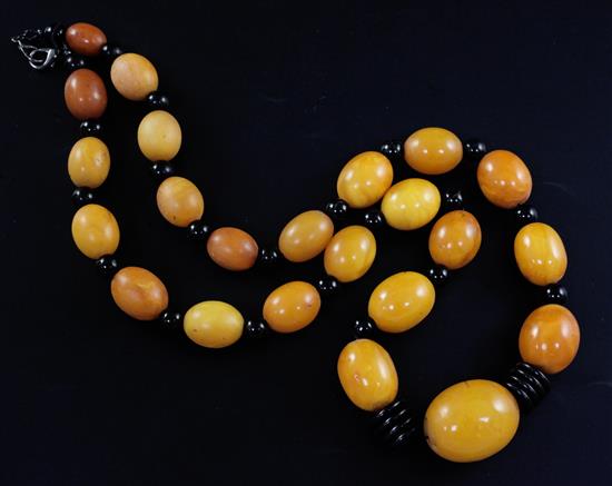 A single strand graduated amber bead necklace with ebonised bead spacers, 66cm.